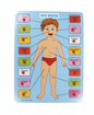 Lodër Druri - My Body Tabelë Edukative
