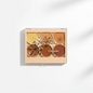 Scanlon Concealer Palette 6 ngjyra
